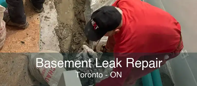 Basement Leak Repair Toronto - ON