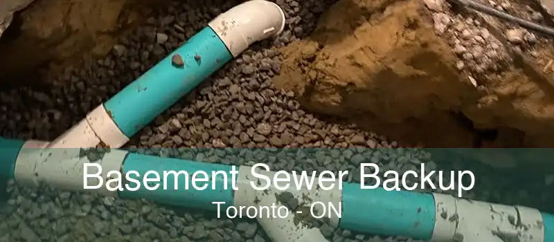 Basement Sewer Backup Toronto - ON