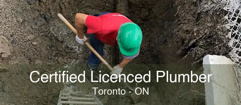 Certified Licenced Plumber Toronto - ON