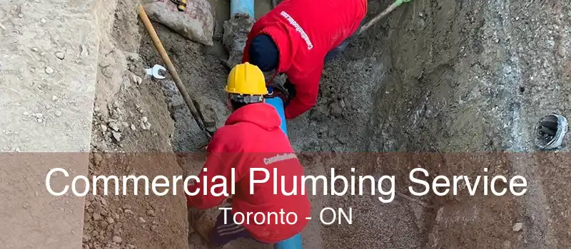 Commercial Plumbing Service Toronto - ON