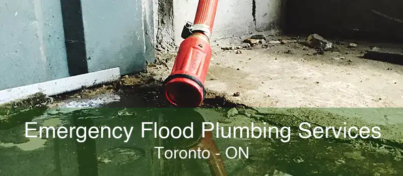 Emergency Flood Plumbing Services Toronto - ON