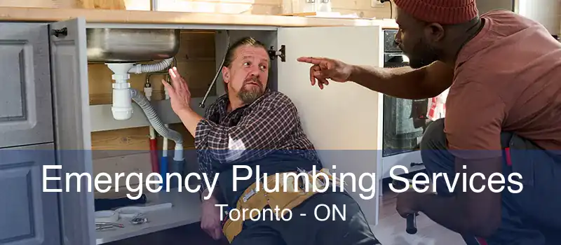 Emergency Plumbing Services Toronto - ON