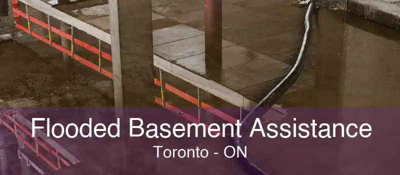 Flooded Basement Assistance Toronto - ON