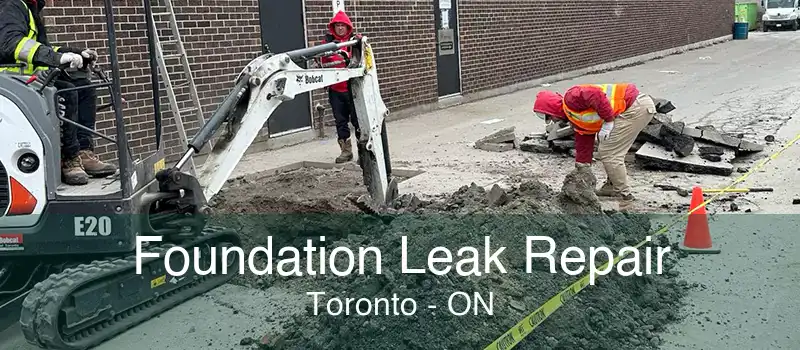 Foundation Leak Repair Toronto - ON