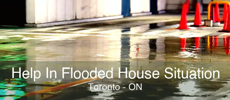 Help In Flooded House Situation Toronto - ON