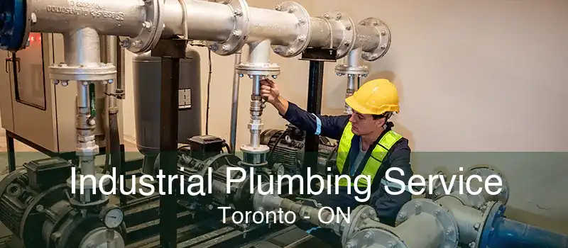 Industrial Plumbing Service Toronto - ON