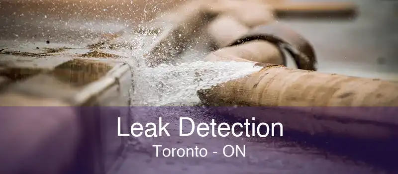 Leak Detection Toronto - ON