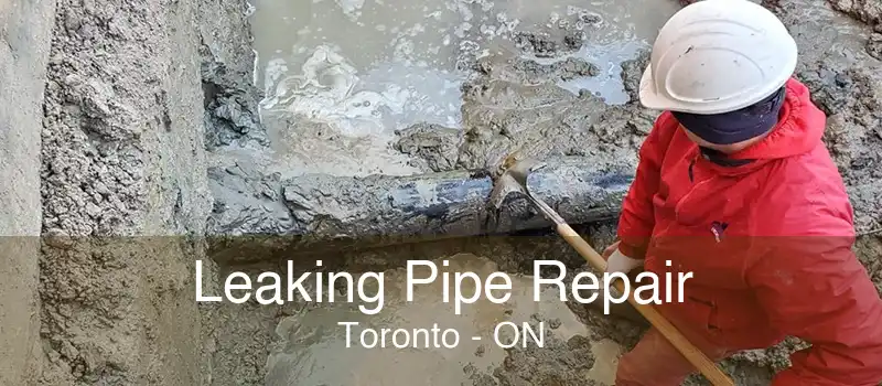 Leaking Pipe Repair Toronto - ON