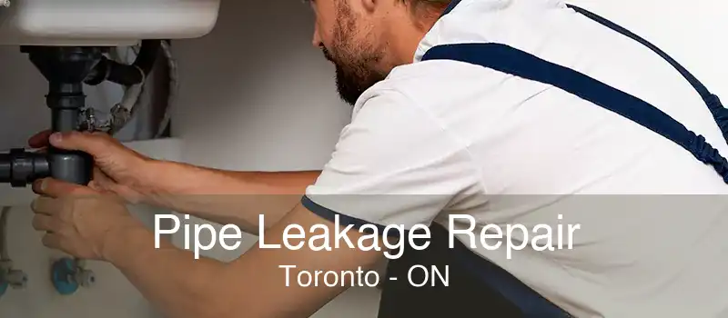 Pipe Leakage Repair Toronto - ON