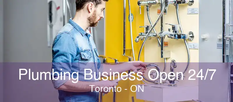 Plumbing Business Open 24/7 Toronto - ON