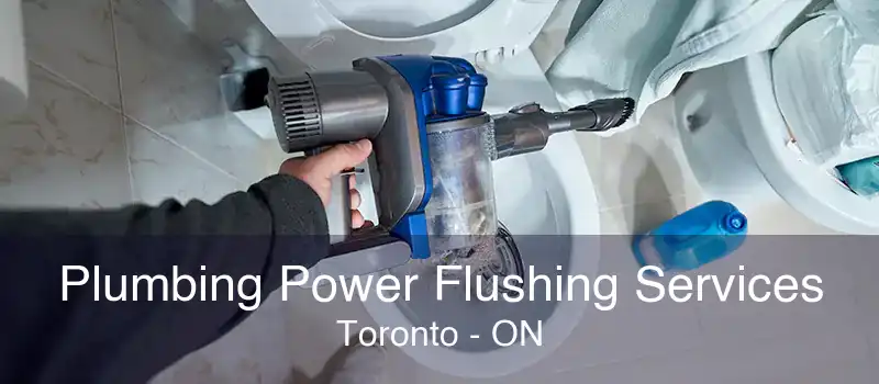 Plumbing Power Flushing Services Toronto - ON