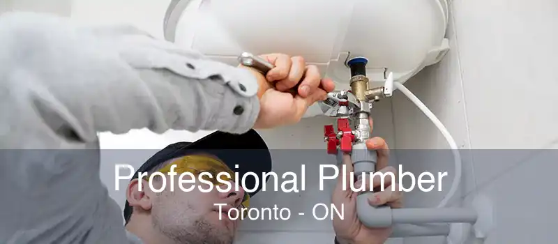 Professional Plumber Toronto - ON