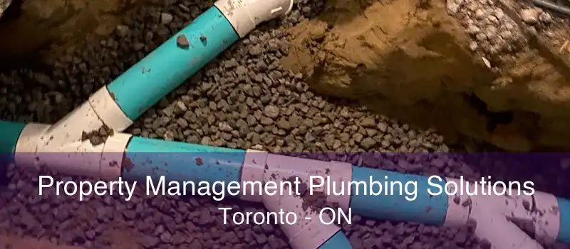 Property Management Plumbing Solutions Toronto - ON