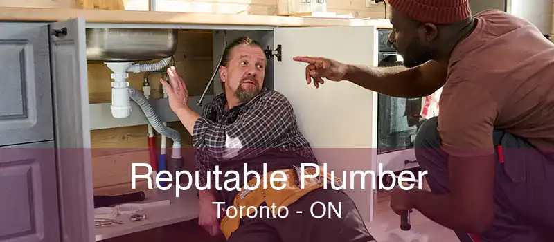 Reputable Plumber Toronto - ON