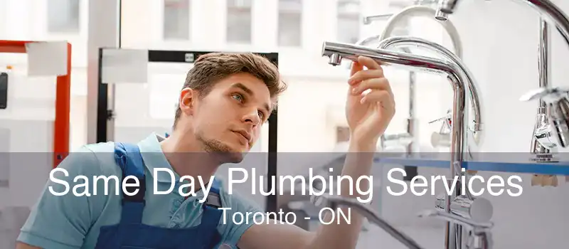 Same Day Plumbing Services Toronto - ON