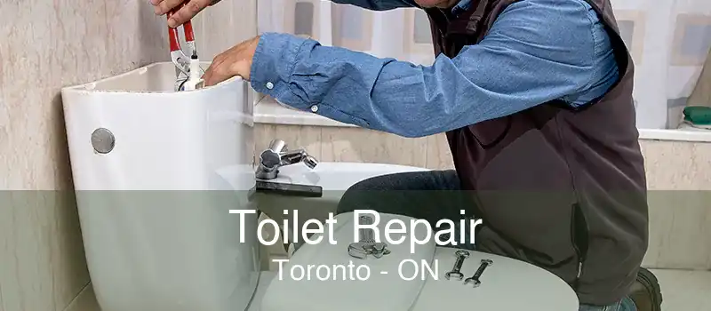 Toilet Repair Toronto - ON