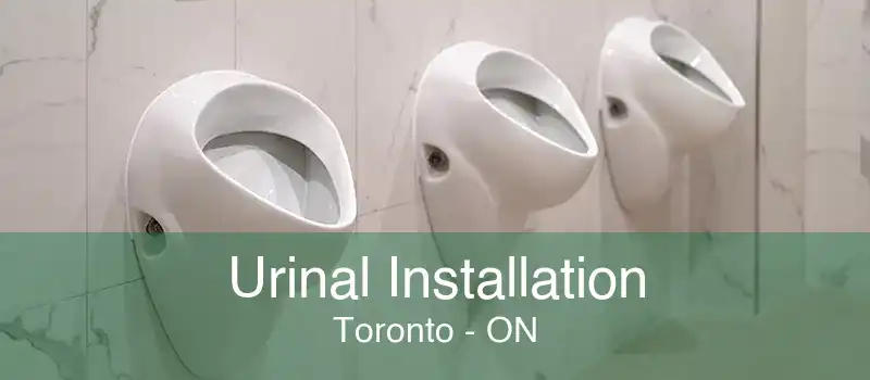 Urinal Installation Toronto - ON