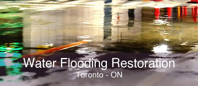 Water Flooding Restoration Toronto - ON