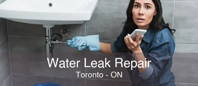 Water Leak Repair Toronto - ON