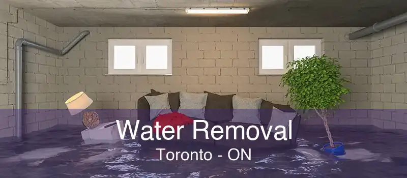 Water Removal Toronto - ON