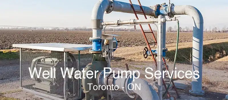 Well Water Pump Services Toronto - ON